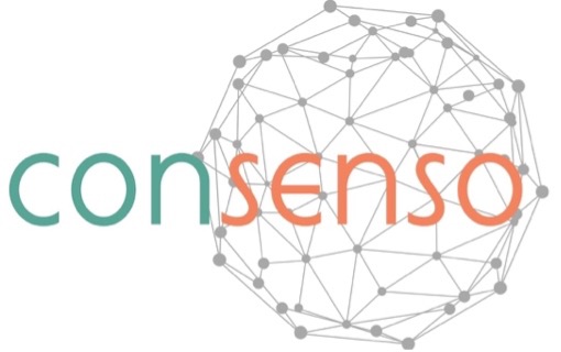 Consenso Treinamento, Assessoria e Consultoria Ltda